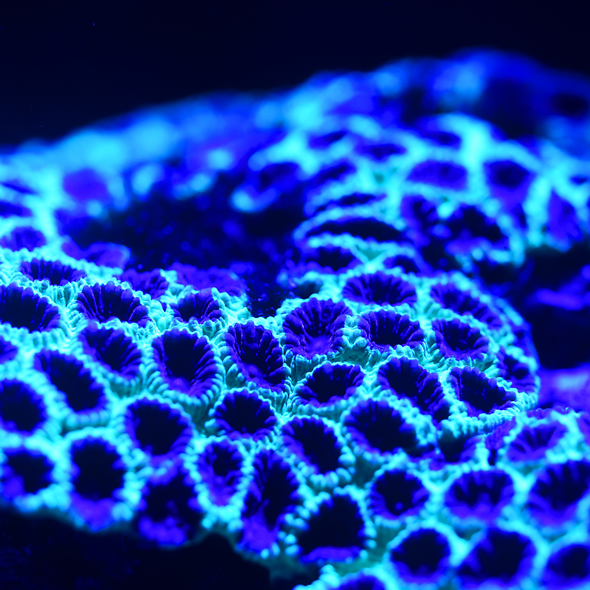 elastacloud_featured_image_5