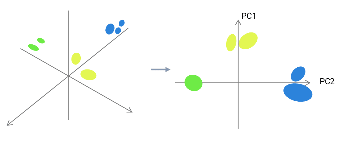 principal component analysis